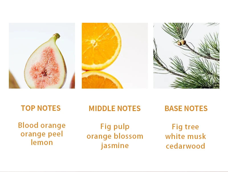 Original Luxury 7 Fruity Fragrance Series Summer Sweet Women Perfume Long Lasting for Daily Office Dating Gifting