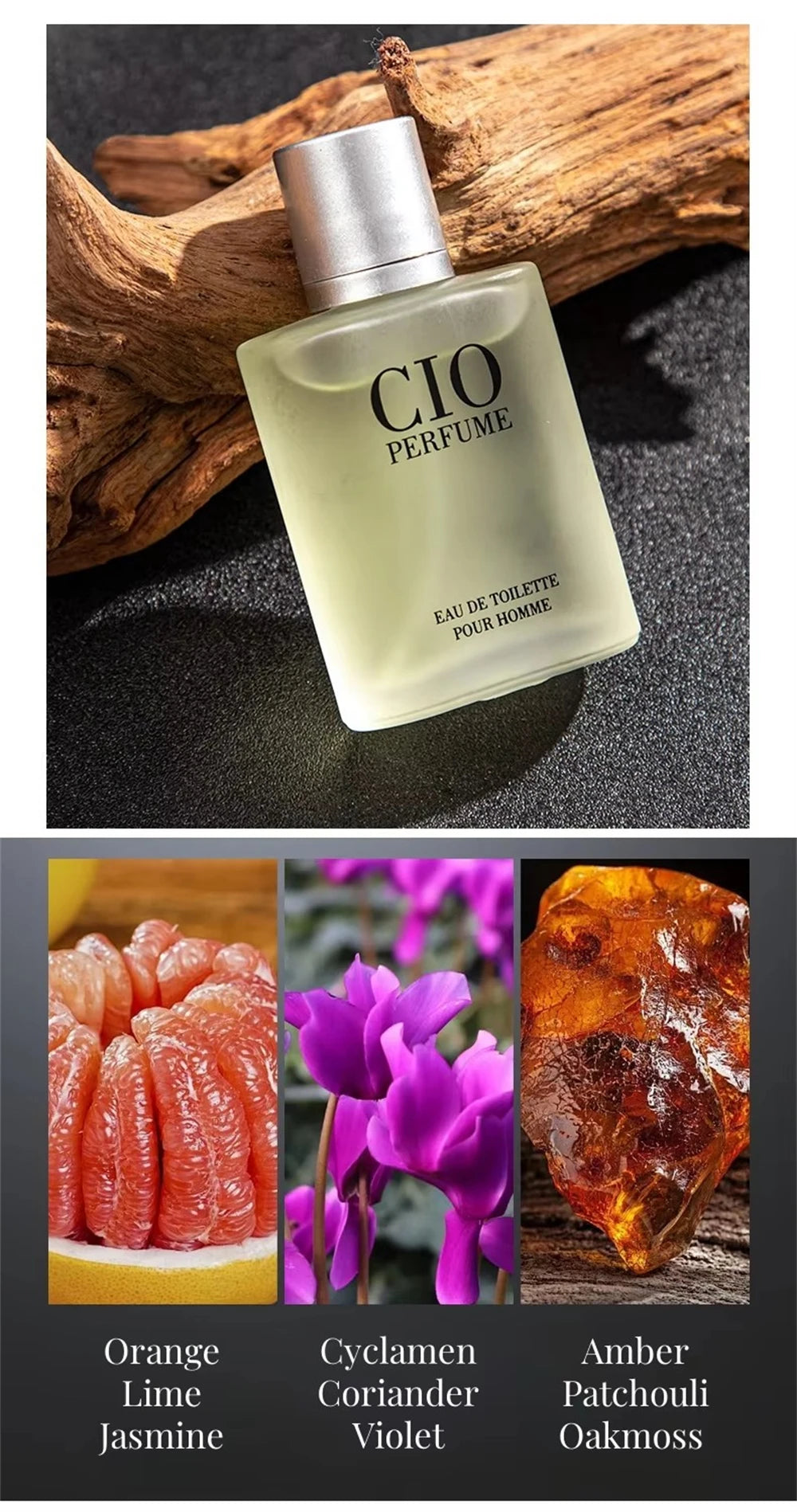 Luxury Brand Perfume Men Cologne Man Parfums Homme 120ml Hombre Perfumes Masculinos Gift Box 4Pcs Set Plant Floral Scent Spray
