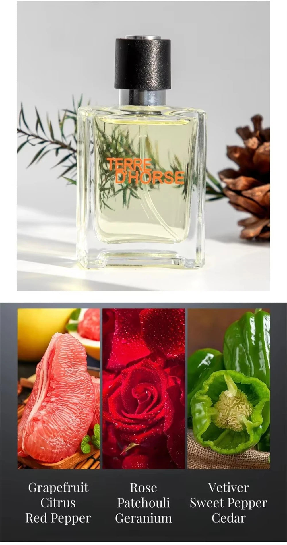 Luxury Brand Perfume Men Cologne Man Parfums Homme 120ml Hombre Perfumes Masculinos Gift Box 4Pcs Set Plant Floral Scent Spray