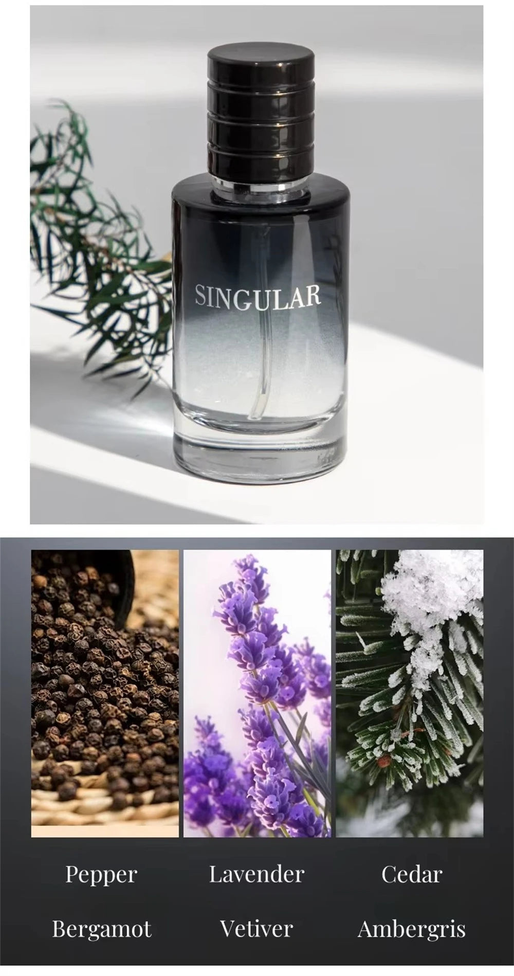 Luxury Brand Perfume Men Cologne Man Parfums Homme 120ml Hombre Perfumes Masculinos Gift Box 4Pcs Set Plant Floral Scent Spray