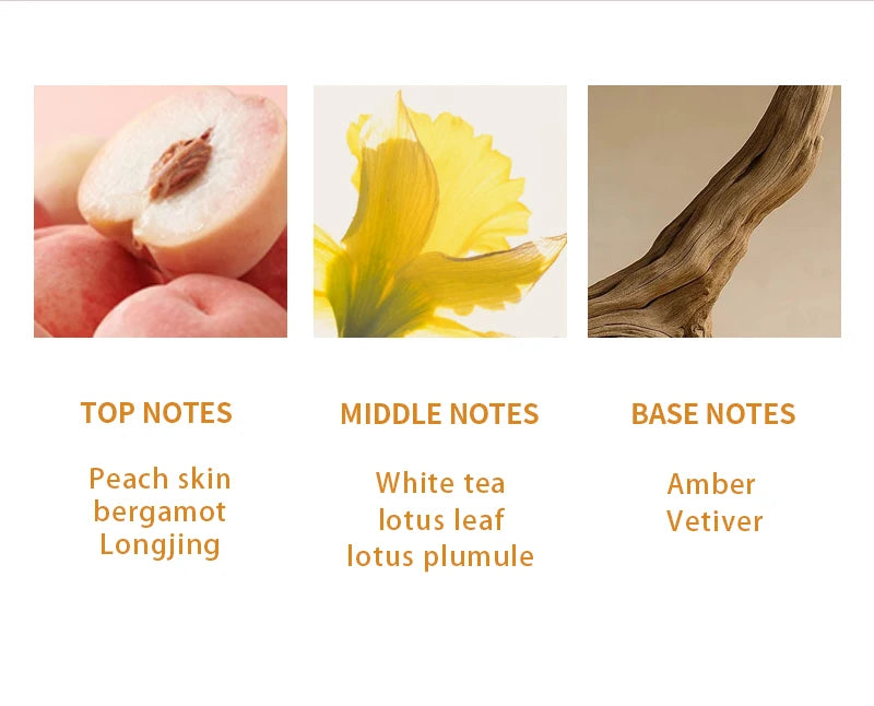 Original Luxury 7 Fruity Fragrance Series Summer Sweet Women Perfume Long Lasting for Daily Office Dating Gifting