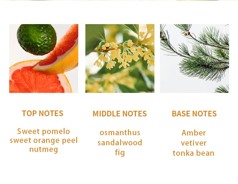 Original Luxury 7 Fruity Fragrance Series Summer Sweet Women Perfume Long Lasting for Daily Office Dating Gifting