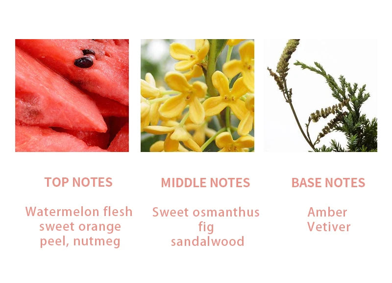 Original Luxury 7 Fruity Fragrance Series Summer Sweet Women Perfume Long Lasting for Daily Office Dating Gifting
